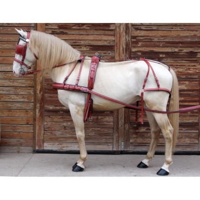 ENGANCHE TRONCO CUERO IQUUS RONDE