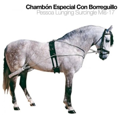 CHAMBÓN ESPECIAL CON BORREGUILLO MIS-17