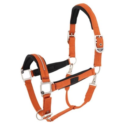 CABEZADA DE CUADRA BR KIMBERLY SS26