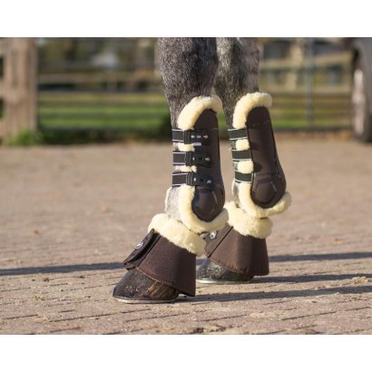 PROTECTOR DE TENDON QHP ONTARIO