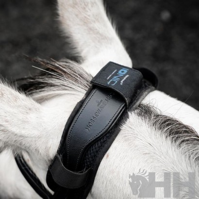 PROTECTOR DE TESTERA HORSEWARE IONIC