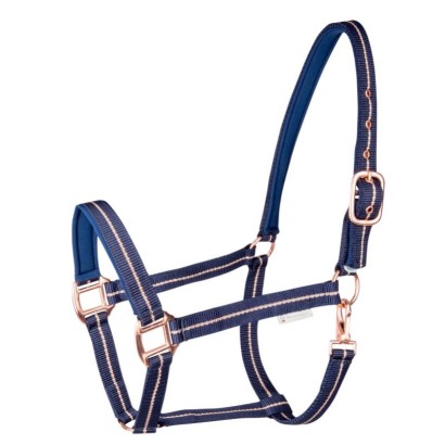 CABEZADA DE CUADRA WALDHAUSEN ROSE