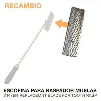 RECAMBIO PARA RASPADOR MUELAS ESCOFINA  24478R