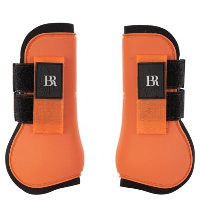 PROTECTOR DELANTERO BR AW23 DEX