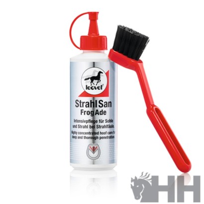 HIGIENIZADOR DE CASCOS LEOVET FROGADE 200 ML