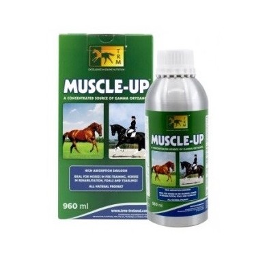 MUSCLE-UP TRM 960 ML.