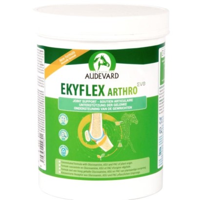 EKYFLEX ARTHRO EVO 450 GR