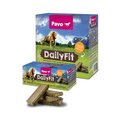 BRIQUETAS DE VITAMINAS Y MINERALES PAVO DAILYFIT 4.5KG (30 BARRITAS)