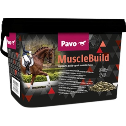 PAVO MUSCLEBUILD 3KG