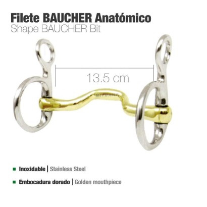 FILETE BAUCHER ANATOMICO BBI INOX