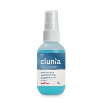 CLUNIA® EASY DENT SPRAY 60ML