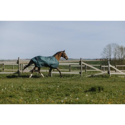 MANTA EQUI-THEME TYREX STANDARD 600D VERDE (VARIOS GROSORES)