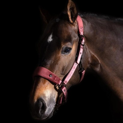 CABEZADA IMPERIAL RIDING SHADE AW23