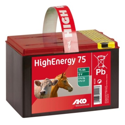 PILA SECA SALINA KERBL DE 9 V/ 75 AH DE ALTA ENERGÍA CON CORREA DE TRANSPORTE