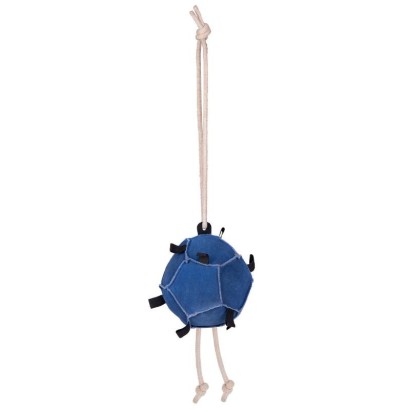 JUGUETE PELOTA QHP PARA ZANAHORIAS