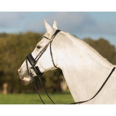 PROTECTOR PARA MUSEROLA O TESTERA QHP MADELON