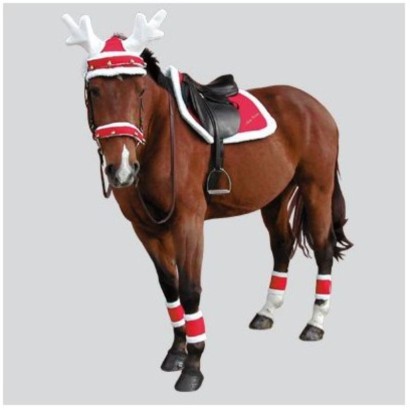 MANTILLA PAPA NOEL NAVIDAD