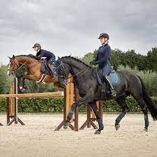 NOVEDADES Y TENDENCIAS