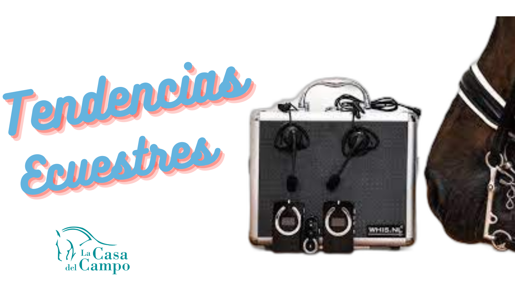 Descubre las Tendencias más Recientes en Equipamiento Ecuestre: Lo Último en Estilo y Funcionalidad